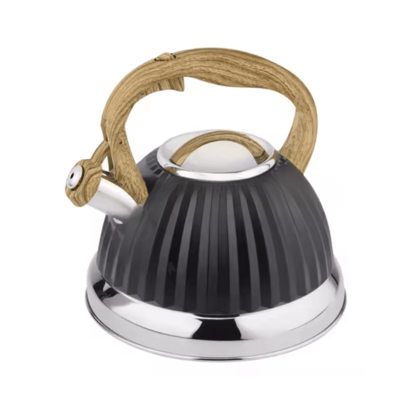 Stainless Steel Whistling Tea Kettle – Classic & Durable Design | Adornia.pk