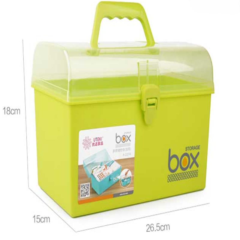 Medicine Storage Box- Small