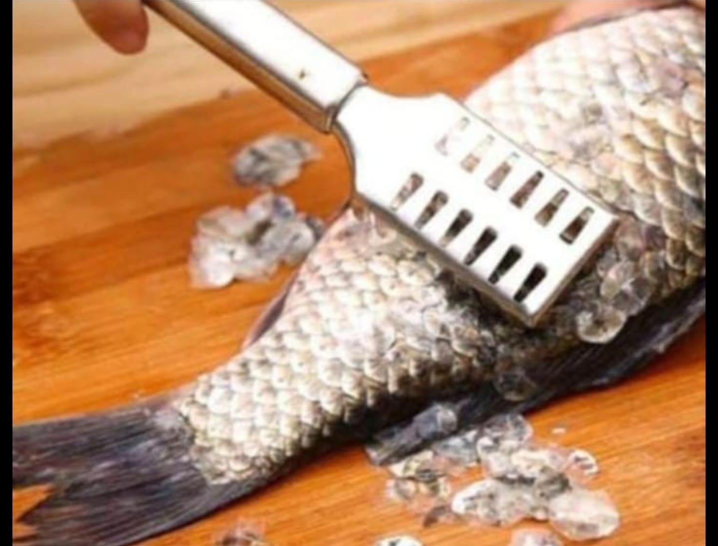Stainless Steel Fish Scale Peeling Cleaner