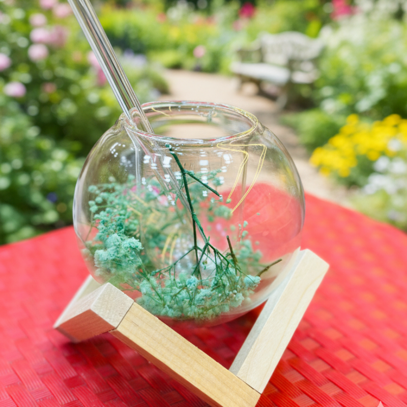 Double Wall Glass Coffee Cup Set with Straw & Wooden Stand - Heat Resistant Tea Mugs