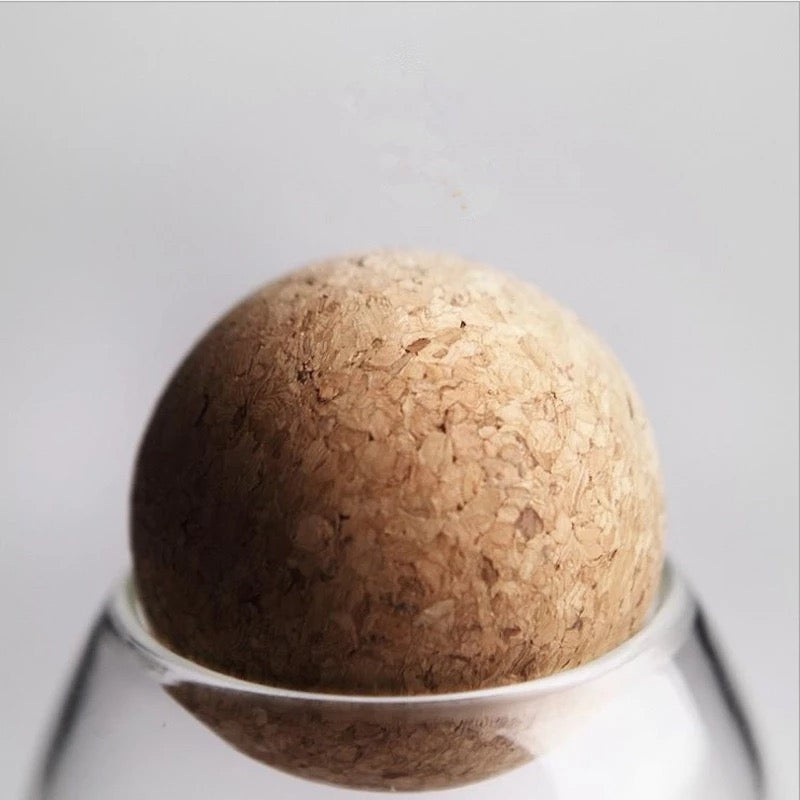 Pack of 3-Cork Lid Storage Jars