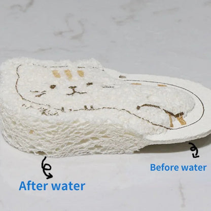 اسفنجة لب الخشب المضغوط