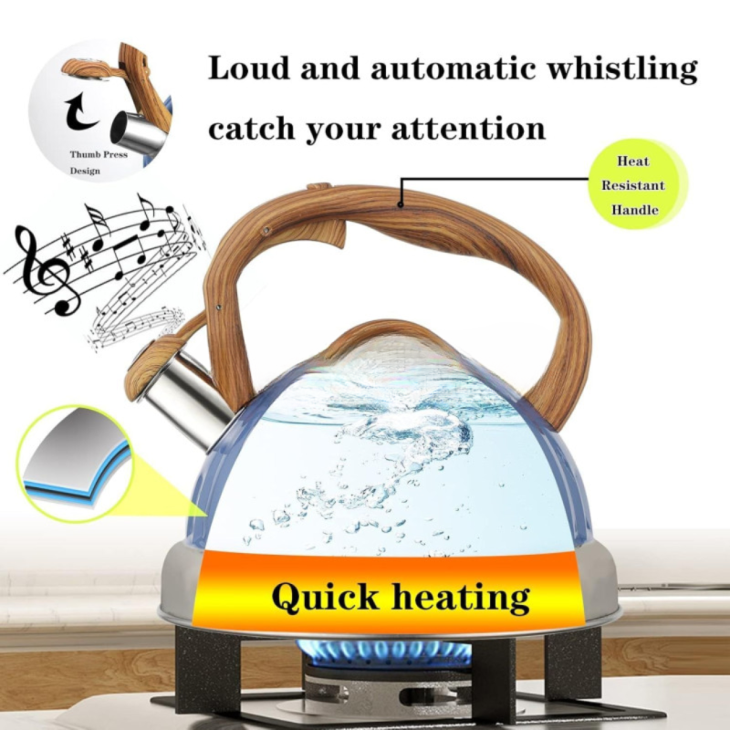 Stainless Steel Whistling Tea Kettle – Classic & Durable Design | Adornia.pk