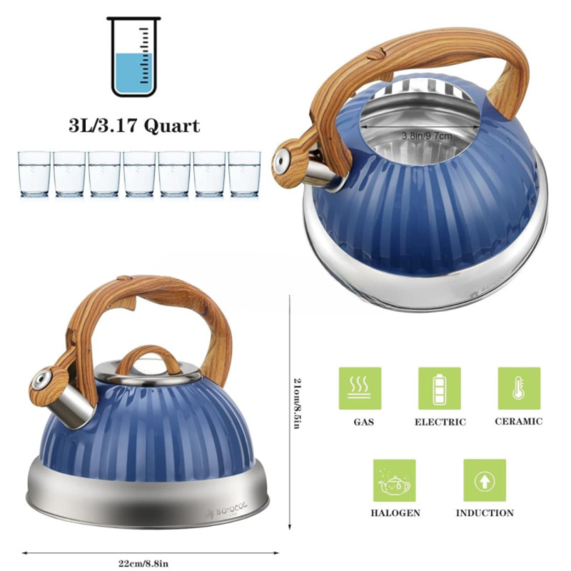 Stainless Steel Whistling Tea Kettle – Classic & Durable Design | Adornia.pk