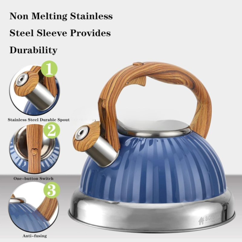 Stainless Steel Whistling Tea Kettle – Classic & Durable Design | Adornia.pk