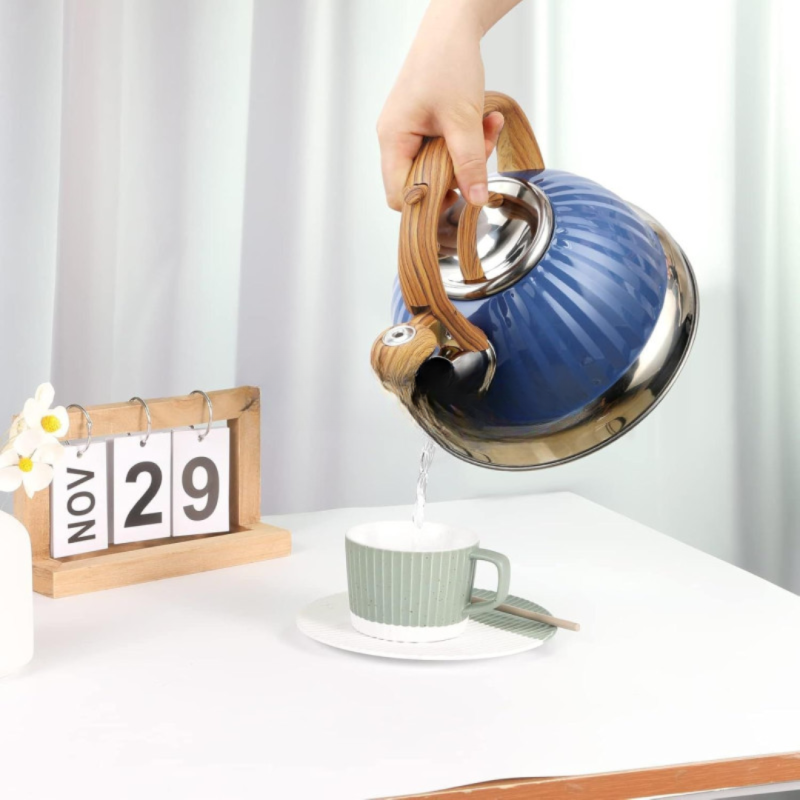Stainless Steel Whistling Tea Kettle – Classic & Durable Design | Adornia.pk