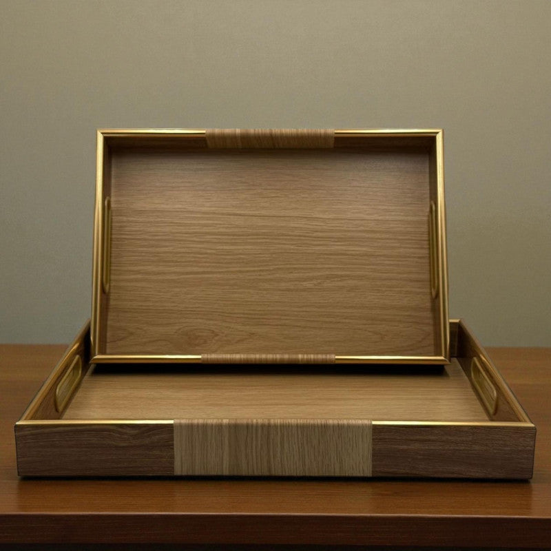 Contemporary Brown Lined Acrylic Tray Duo with Gold Accent – 2 Piece Set