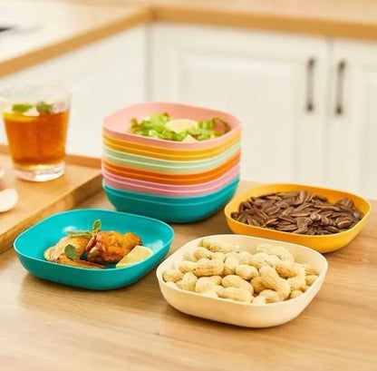 10 Pcs Plates with Holder