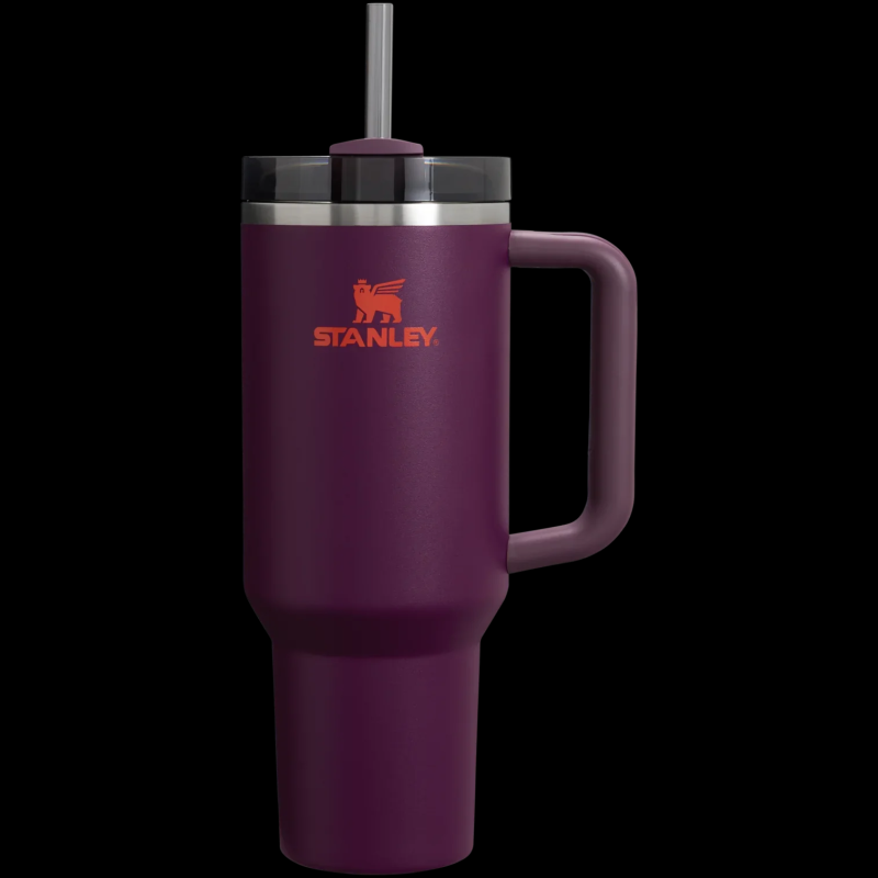 40oz FlowState Tumbler – Plum – Master Copy – Insulated Travel Mug Pakistan