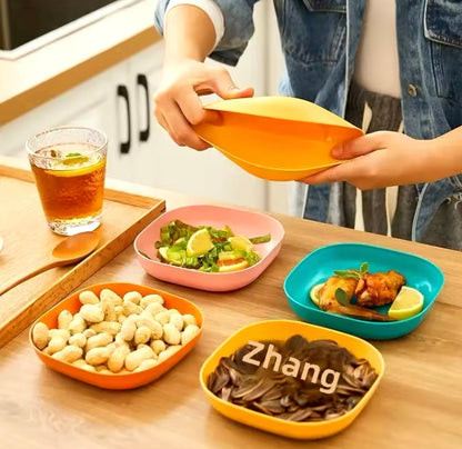 10 Pcs Plates with Holder