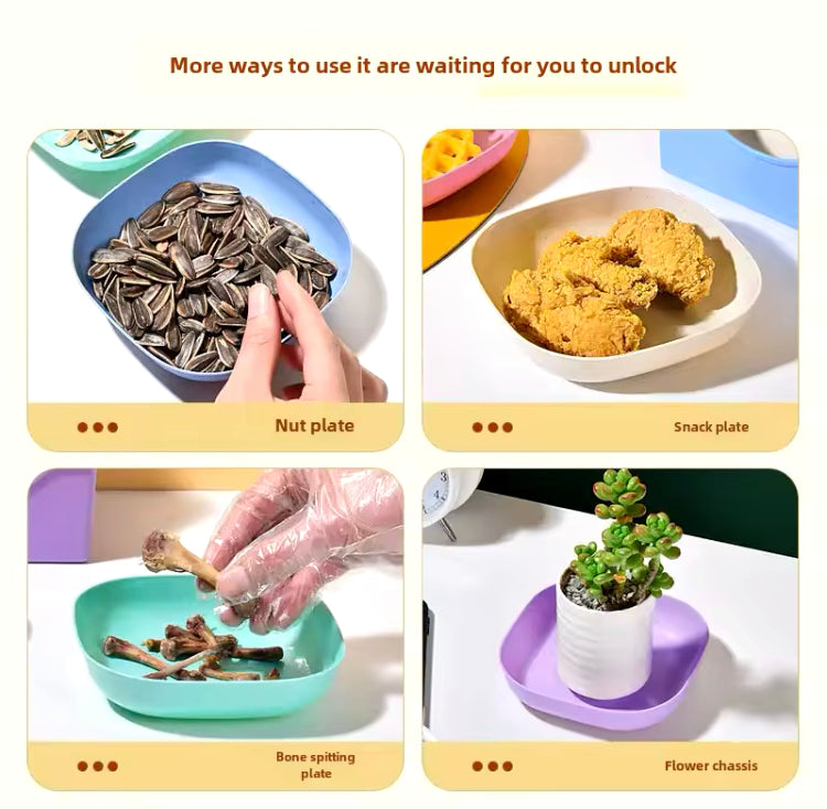 10 Pcs Plates with Holder