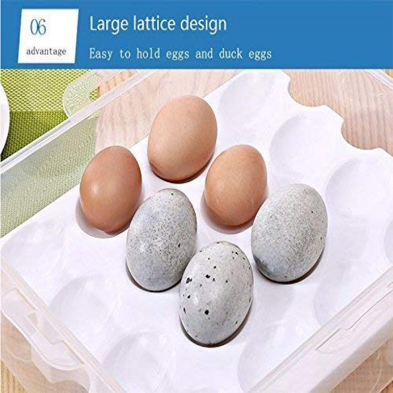 Large 32-Grid Transparent Egg Storage Box – Food-Safe & Stackable Organizer | Adornia.pk