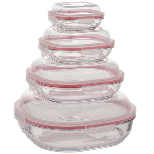 Limon 4 Pcs Glass Storage Box Container