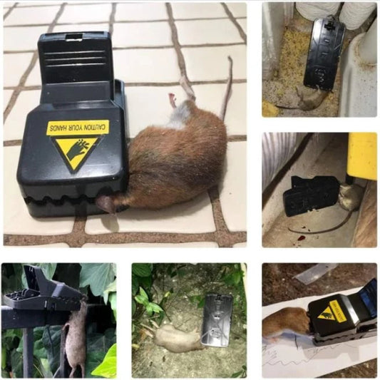 Highly Sensitive Reusable Mouse Trap – Safe & Effective Pest Control for Home & Office | Adornia.pk