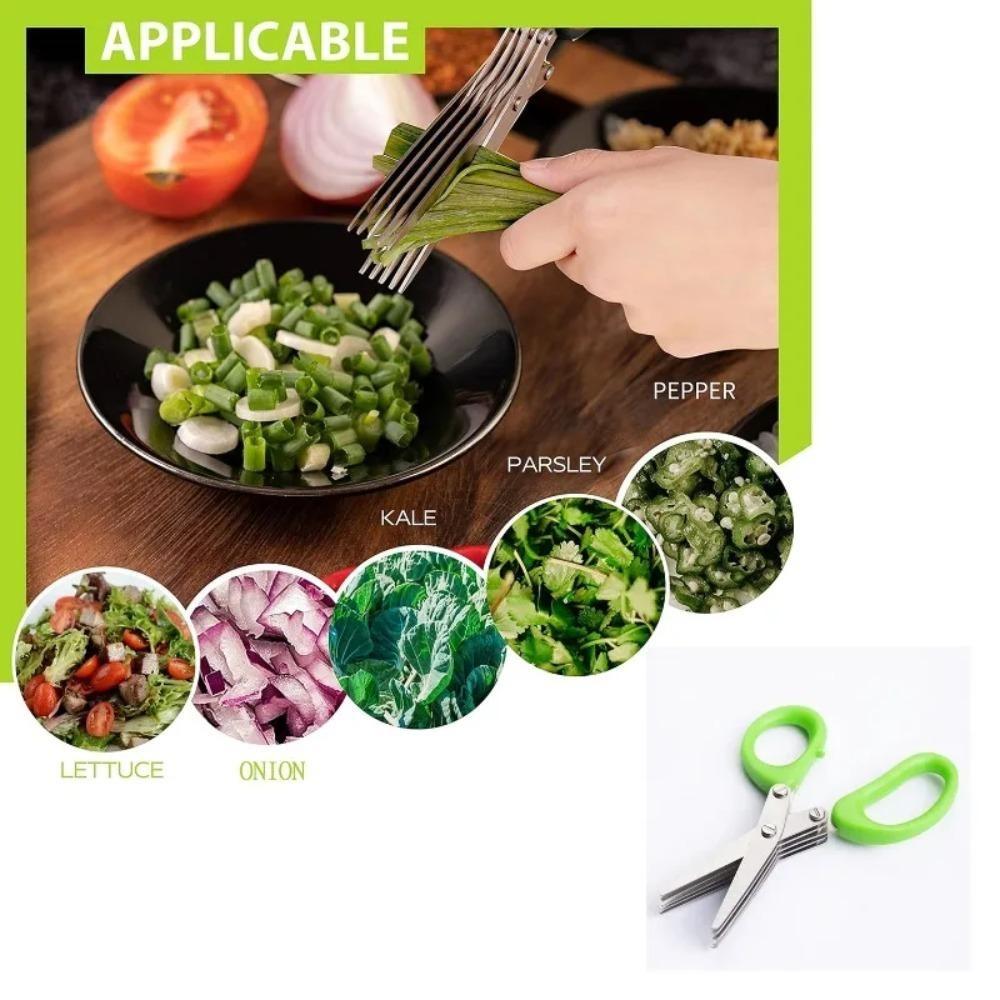 Stainless Steel 5 Blades Herb's Kitchen Scissor